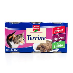 L3 1X2TERRINE CHAT AGN.BF