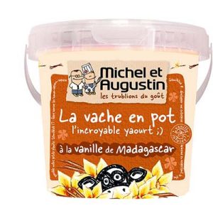 Y.SAV.VAN.500G MICHEL&AUG