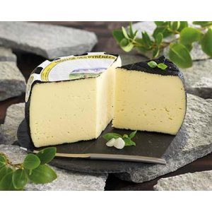PYRENEE NOIR ORRHYS 4KG