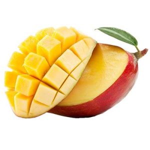 MANGUE CAL10 KENT BRESIL