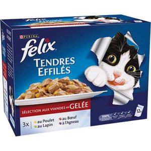 POCH.X12 EFFILE.VIAND.FEL