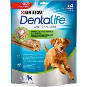 FRIANDIS.GROS CHIEN DENTA