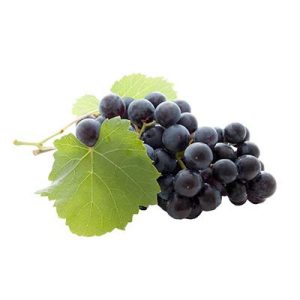RAISIN NOIR MUSCAT 5KG