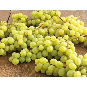 RAISIN BLC CHASSELAS FCE