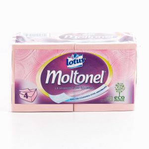 PAP.TOILETTE 4PQ MOLTONEL